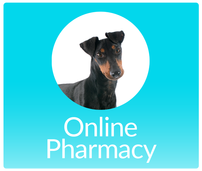 Online Pharmacy