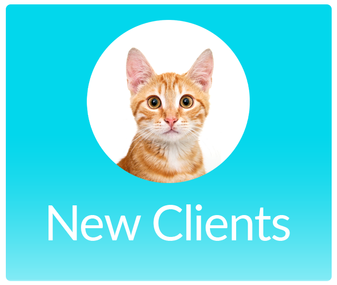 New Clients