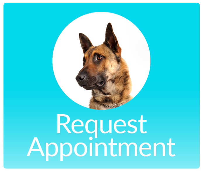 Request Appointment