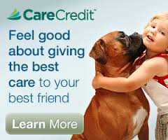 care credit banner